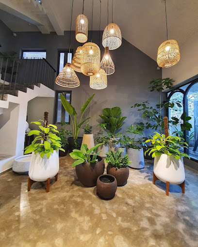 Palasa – Planter pots, Garden & Outdoor Decor, Furniture