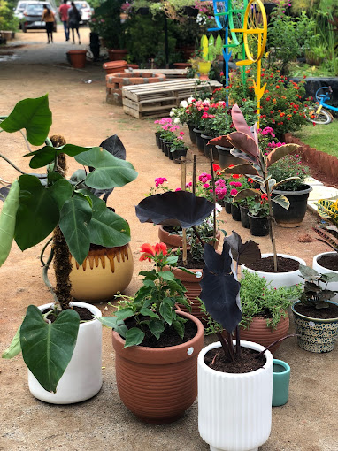 Make My Garden