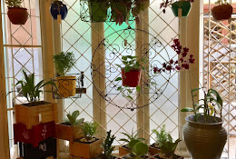 garden store – Garden Lifestyle Chennai