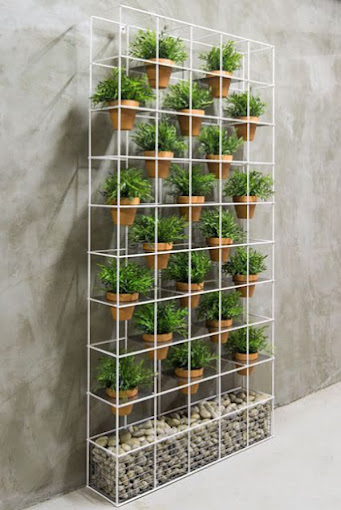 PLAN A PLANT