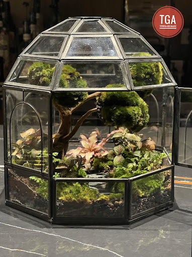 TERRI GARDEN ARTÉ