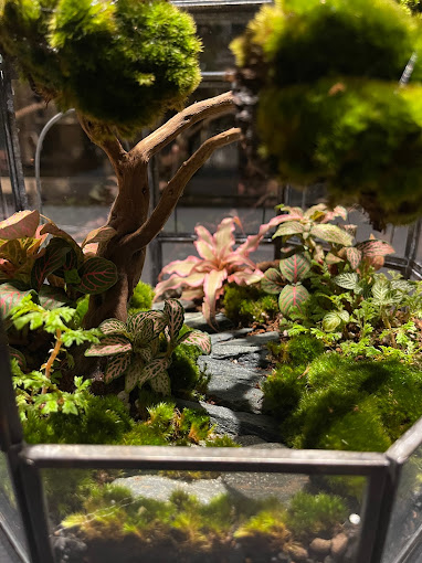 TERRI GARDEN ARTÉ